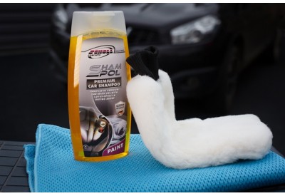 Exterior Wash Kit (pro) with Scholl Concepts ShamPol